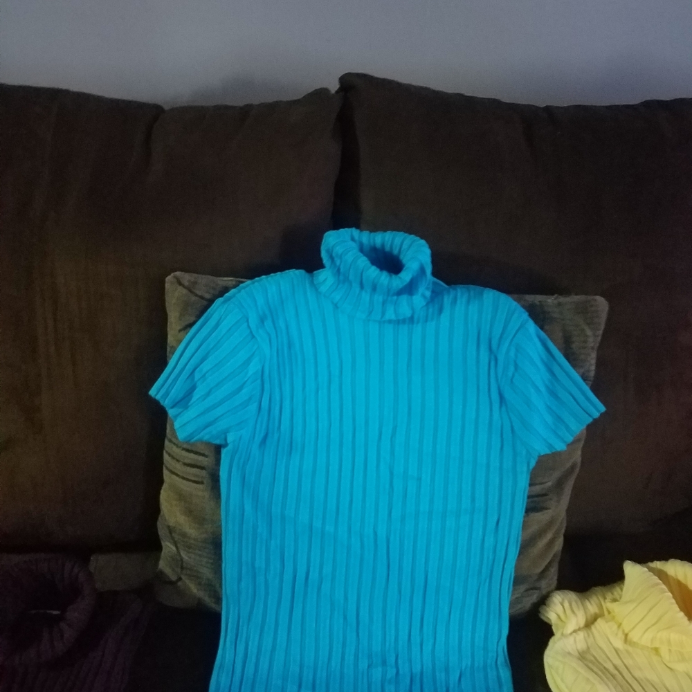 Ribbed Knit Short Sleeved Turtleneck Top